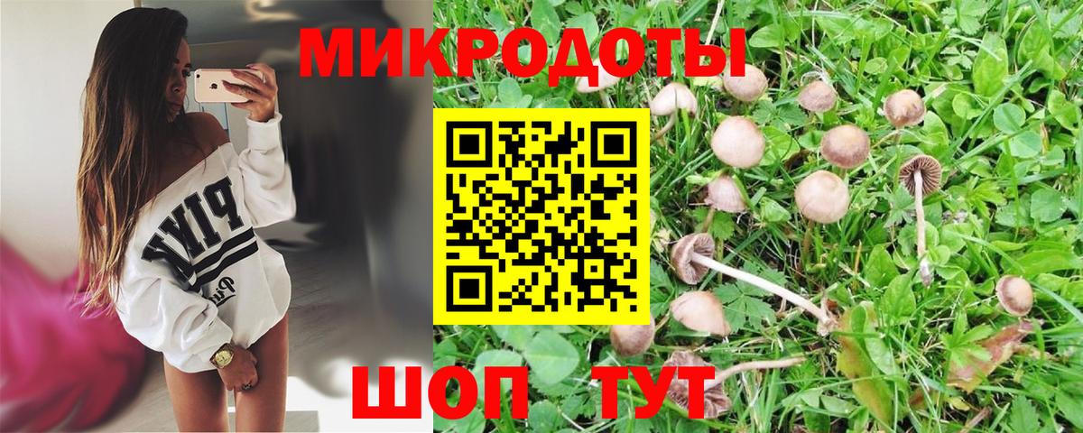 Галлюциногенные грибы Psilocybe  Вход с VPN  Псилоцибиновые грибы MAGIC MUSHROOMS  Кудрово 