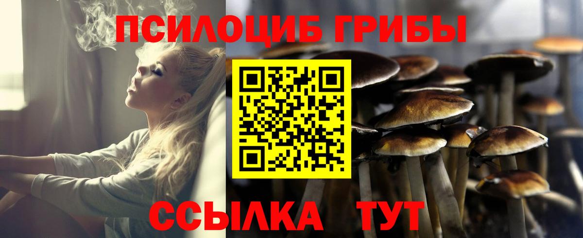 Псилоцибиновые грибы прущие грибы Кудрово